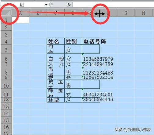 如何调整表格的行高和列宽（分享几种调整excel表格行高与列宽方法）(3)