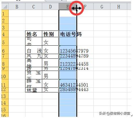 如何调整表格的行高和列宽（分享几种调整excel表格行高与列宽方法）(9)