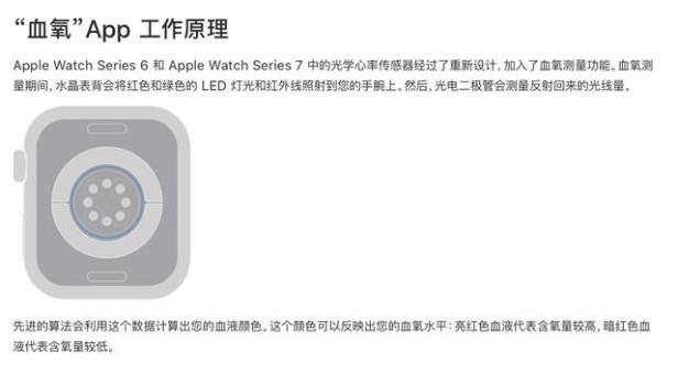 苹果se和7的区别在哪里（apple watch 7和se哪个性价比高）(4)