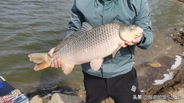 夏天钓鱼深度掌握技巧 夏季钓鱼钓深水好还是钓浅水好一点呢