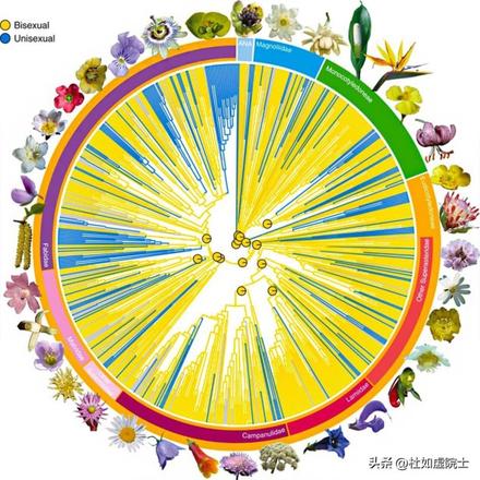 目前世界上有多少棵树？盘点世界上树木最多的国家