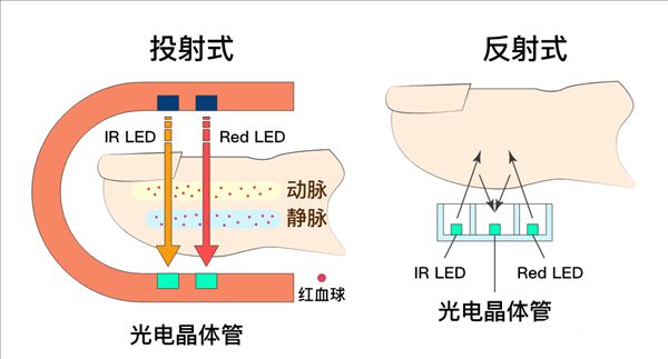 血氧仪都被买涨价了，血氧仪有必要买吗