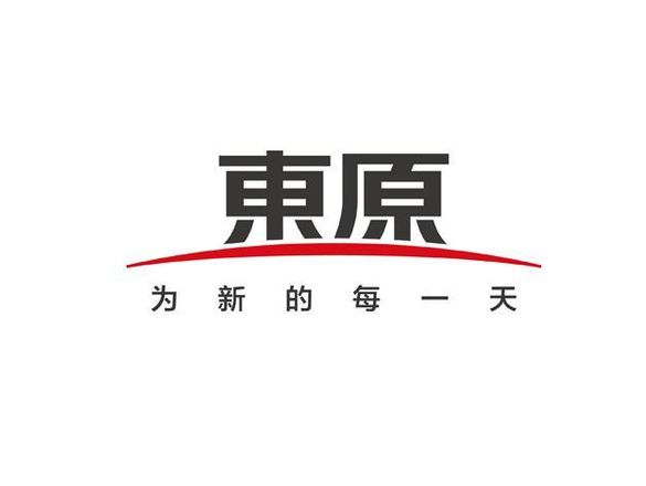 东原壁挂炉e6故障现象（壁挂炉e6解决方法）