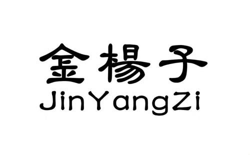 金杨子空调主板坏了故障表现【空调主板维修怎样收费】