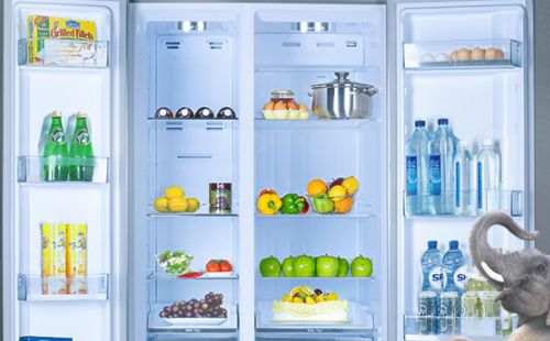 预防伊莱克斯冰箱结冰方法\冰箱如何除冰