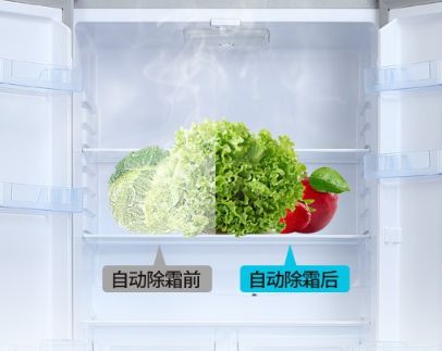 新飞冰箱不制冷还响起流水声是什么原因丨新飞冰箱上门维修