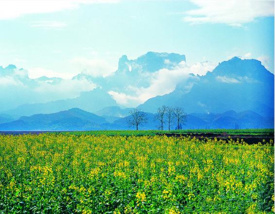 张家界天门山游玩线路