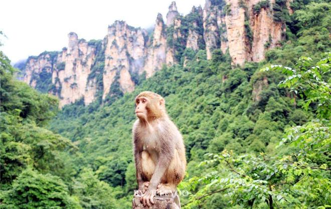 张家界旅游5日游线路