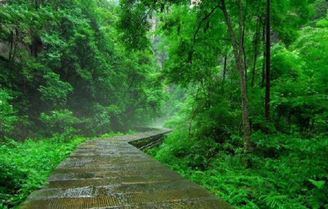 张家界下雨影响旅游吗