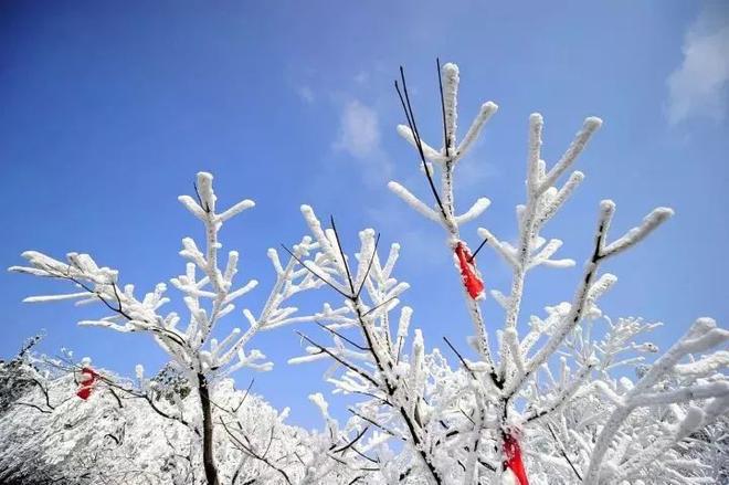 张家界冬天下雪吗