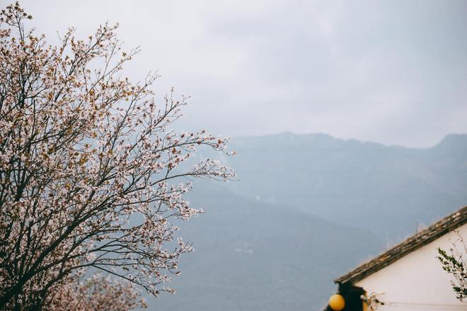 大理苍山有必要去吗