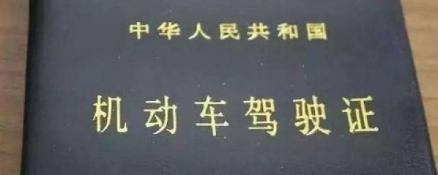 怎么查询驾驶证状态