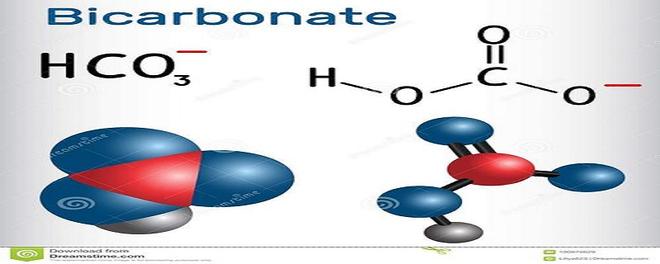 hco3-是什么意思