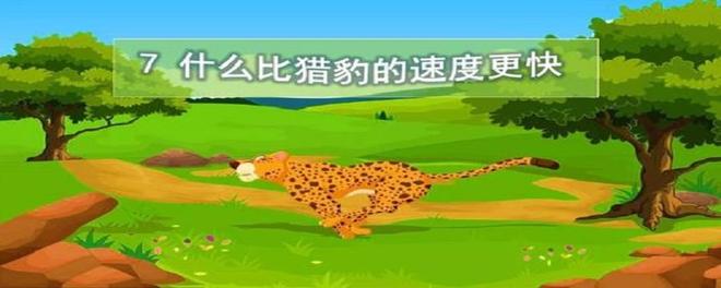 什么比猎豹的速度更快的主要内容