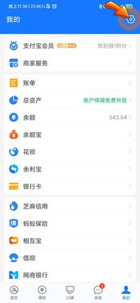 支付宝的设置在哪里可以看到