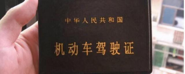 机动车驾驶证档案编号怎么查