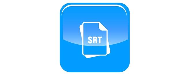 .srt是什么文件