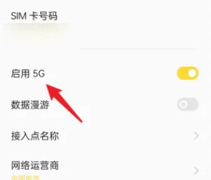 opporeno11怎么开启5g网络