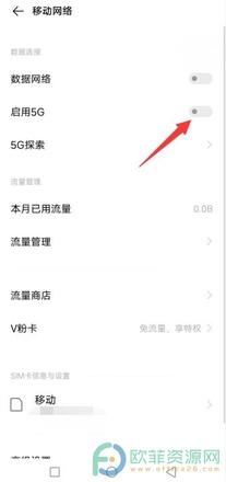 vivo手机怎么启用5G