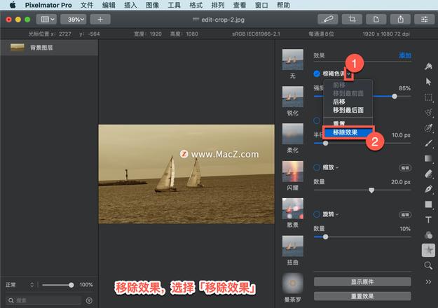 Pixelmator Pro?教程「119」，如何在 Pixelmator Pro?中应用棕褐色调效果？