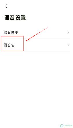 iPhone13怎么设置导航语音