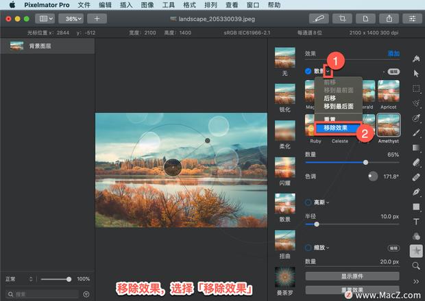 Pixelmator Pro?教程「133」，如何在 Pixelmator Pro?中应用?散景效果？