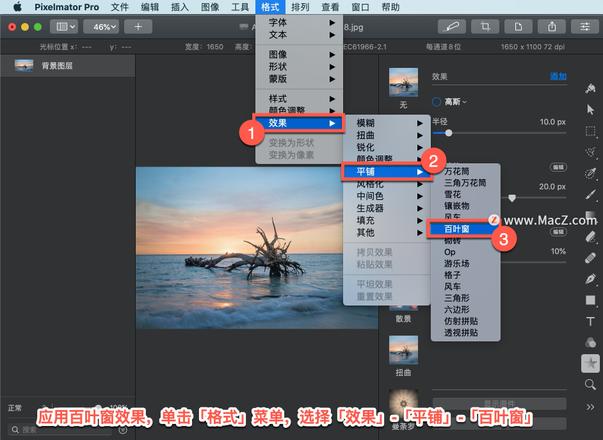 Pixelmator Pro?教程「125」，如何在 Pixelmator Pro?中应用百叶窗效果？