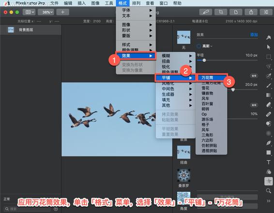 Pixelmator Pro?教程「121」，如何在 Pixelmator Pro?中应用万花筒效果？