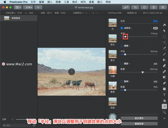 Pixelmator Pro?教程「137」，如何在 Pixelmator Pro?中应用?点状化效果？