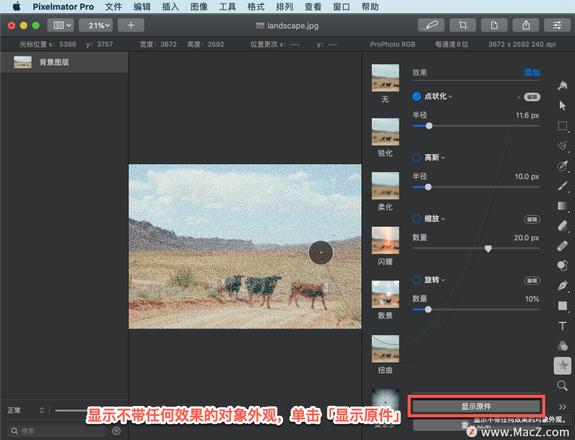 Pixelmator Pro?教程「137」，如何在 Pixelmator Pro?中应用?点状化效果？