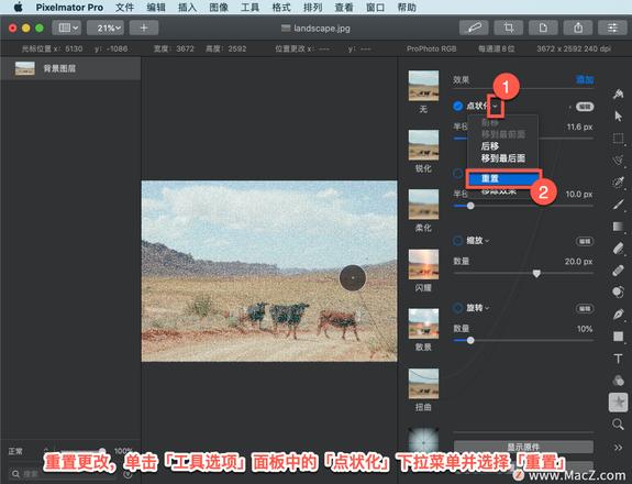 Pixelmator Pro?教程「137」，如何在 Pixelmator Pro?中应用?点状化效果？