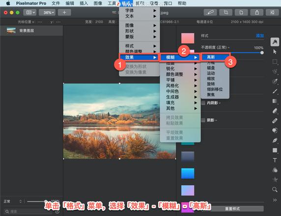 Pixelmator Pro?教程「98」，如何在 Pixelmator Pro?中应用高斯模糊效果？