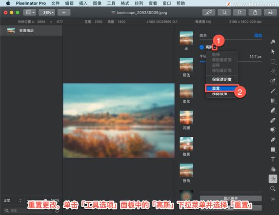 Pixelmator Pro?教程「98」，如何在 Pixelmator Pro?中应用高斯模糊效果？