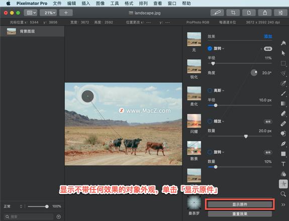 Pixelmator Pro?教程「108」，如何在 Pixelmator Pro?中应用旋转效果？