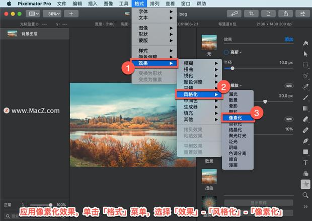 Pixelmator Pro?教程「136」，如何在 Pixelmator Pro?中应用?像素化效果？