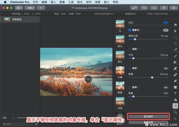 Pixelmator Pro?教程「136」，如何在 Pixelmator Pro?中应用?像素化效果？