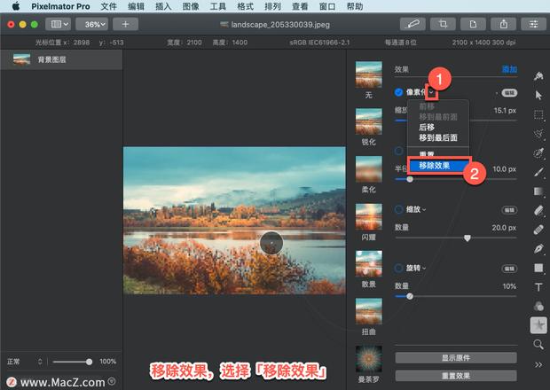 Pixelmator Pro?教程「136」，如何在 Pixelmator Pro?中应用?像素化效果？