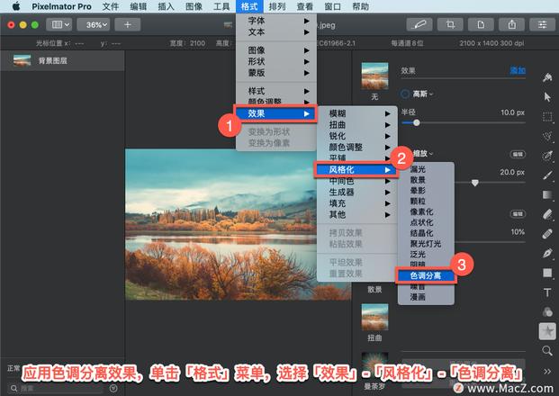 Pixelmator Pro?教程「140」，如何在 Pixelmator Pro?中应用?色调分离效果？