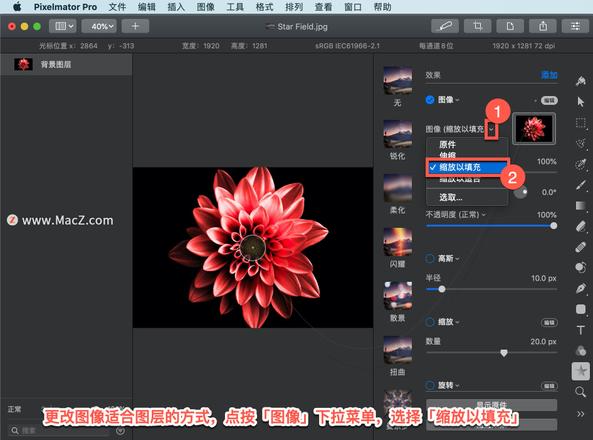 Pixelmator Pro?教程「151」，如何在 Pixelmator Pro?中应用图像效果？