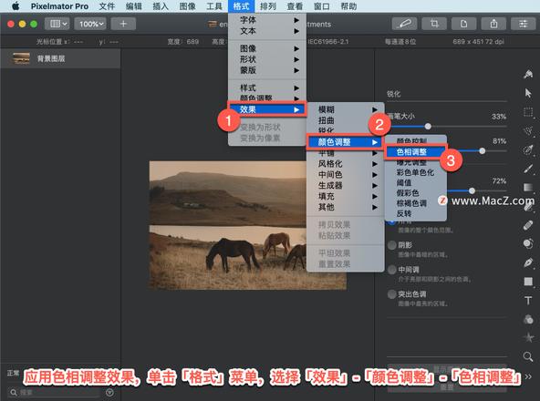 Pixelmator Pro?教程「115」，如何在 Pixelmator Pro?中应用色相调整效果？