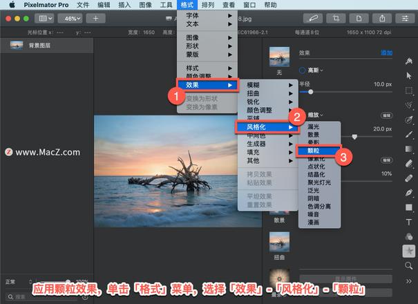 Pixelmator Pro?教程「135」，如何在 Pixelmator Pro?中应用?颗粒效果？