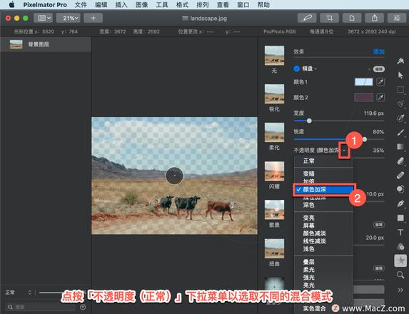 Pixelmator Pro?教程「147」，如何在 Pixelmator Pro?中应用棋盘效果？