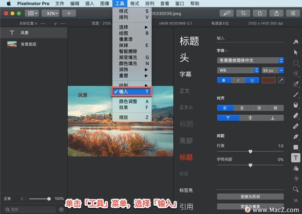 Pixelmator Pro?教程「167」，如何在 Pixelmator Pro?中调整字符间距？