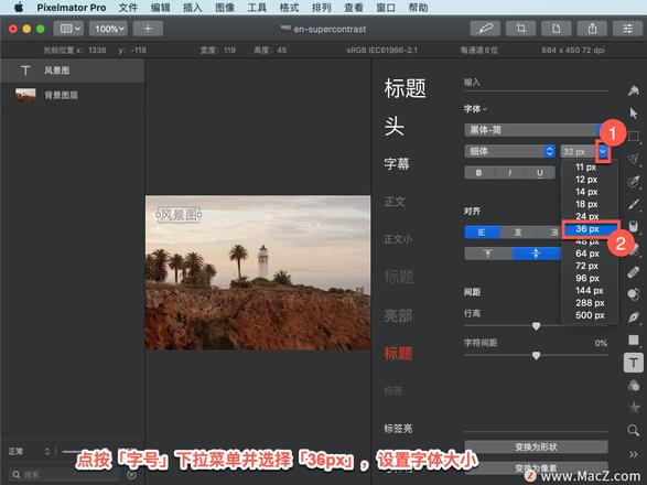 Pixelmator Pro?教程「165」，如何在 Pixelmator Pro?中更改字体大小？