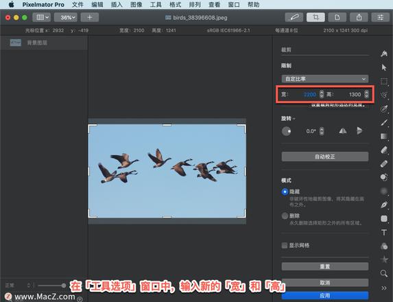 Pixelmator Pro?教程「157」，如何在 Pixelmator Pro?中设置裁剪框大小？