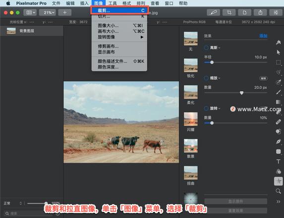 Pixelmator Pro?教程「156」，如何在 Pixelmator Pro?中裁剪和拉直图像？