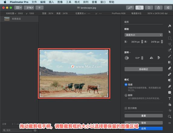 Pixelmator Pro?教程「156」，如何在 Pixelmator Pro?中裁剪和拉直图像？