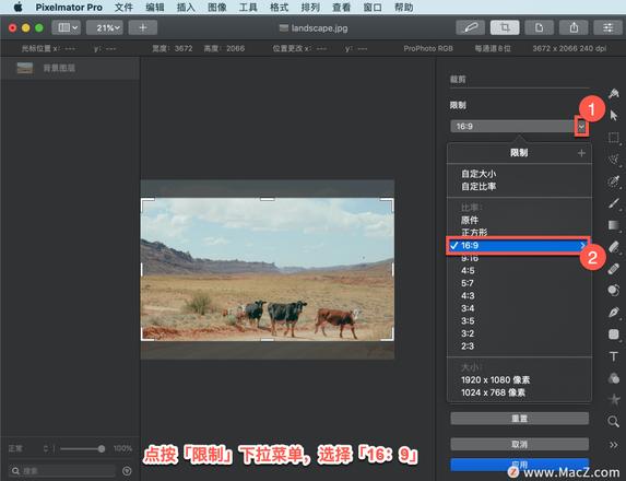 Pixelmator Pro?教程「156」，如何在 Pixelmator Pro?中裁剪和拉直图像？