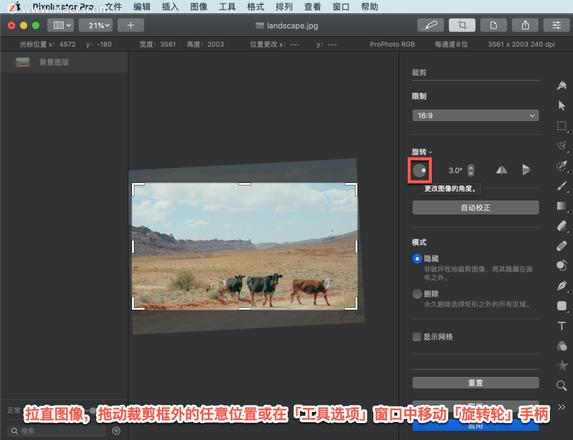 Pixelmator Pro?教程「156」，如何在 Pixelmator Pro?中裁剪和拉直图像？