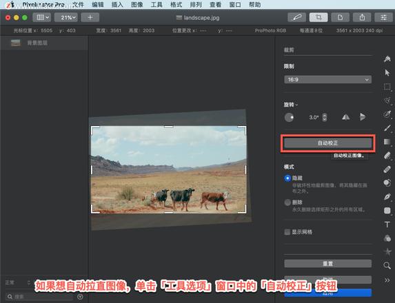 Pixelmator Pro?教程「156」，如何在 Pixelmator Pro?中裁剪和拉直图像？